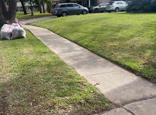 Leaf Removal by Nicole Ross for Eslam E. in Houston, TX