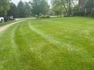 Joan R.'s Lawn Service service result