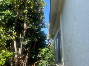 Bush Trimming by Charles Walton for Julia L. in Lake Worth, FL