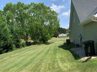 Nancy C.'s Lawn Maintenance service result