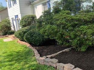 Mulching by candelario castillo for Thomas D. in Annandale, VA