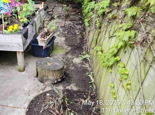 Leaf Removal by Ronald Burton for Aileen C. in Buffalo, NY