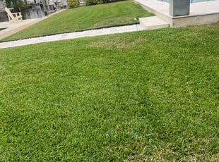 Anne M.'s Lawn Mowing Service service result