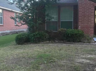 Dan D.'s Bush Trimming service result