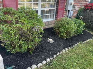 Bush Trimming by Reginald Blue for Imran B. in Nottingham, MD