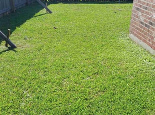 Darryl G.'s Lawn Service service result