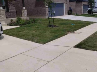 Sylvia S.'s Lawn Service service result
