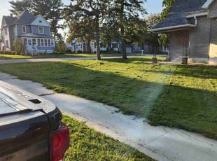 Joey S.'s Lawn Mowing service result