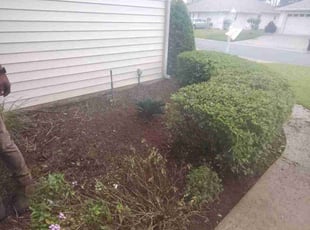 Weeding by Robert Nelams for Paul S. in Leesburg, FL