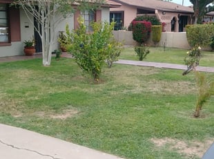Bush Trimming by Bobby Cruz for Rossana S. in Phoenix, AZ