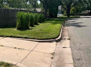 Bush Trimming by Curtis Thornburgh for Alexander M. in Wichita, KS
