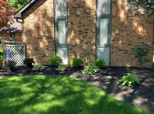 Cleanups by Mike Williams for Spencer L. in Columbus, OH