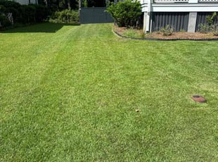 Brad H.'s Lawn Care service result