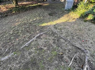 Cleanups by Edgar Elmore for Mary F. in Cheverly, MD
