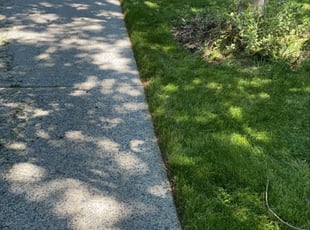 Bush Trimming by Arthur Reese for Tiffany L. in Durham, NC