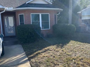 Bush Trimming by Guilherme Silveira for Abdul S. in Mary Esther, FL