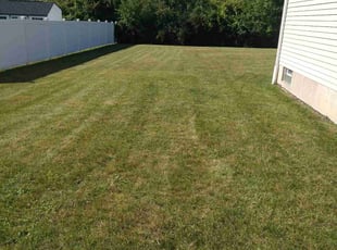 Brian V.'s Yard Cutting service result