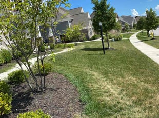 Cleanups by Steffon Journey for Anthony D. in Greenwood, IN