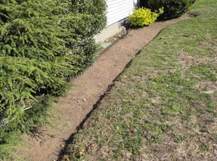 Weeding by David Daye for William B. in North Providence, RI
