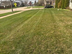 Norlyza A.'s Lawn Care service result