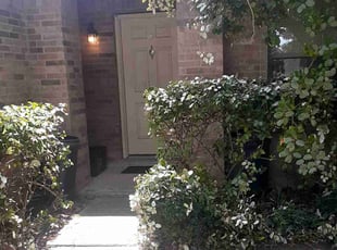 Bush Trimming by Gregorio Castruita for Suntasak C. in Friendswood, TX