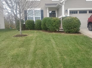 Leaf Removal by Aaron Smith for Aaron K. in Greenwood, IN