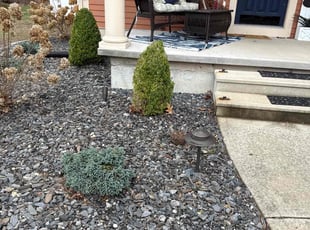 Bush Trimming by Harry Figueroa for Earl B. in Springfield, MA