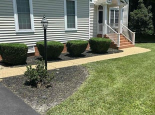 Bush Trimming by Joe Lee Jr for Steph M. in Richmond, VA