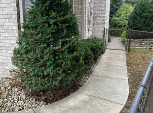 Bush Trimming by Eric Hubbard for Lauren S. in Greenwood, IN