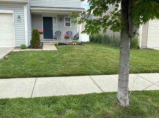 Keith H.'s Lawn Mowing service result