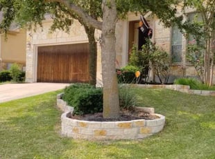 Mike M.'s Grass Cutting service result