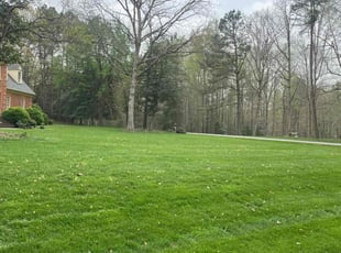 Stan D.'s Lawn Service service result