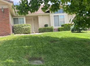 Bush Trimming by Samuel Benavides for Lance o. in San Bernardino, CA