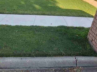 JOEY W.'s Lawn Care service result