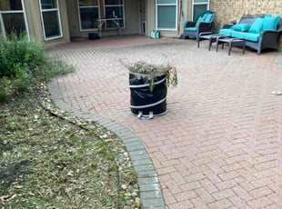 Cleanups by Taylor Olson for Hayley P. in Plano, TX