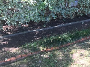 Weeding by Paz Silva for Corey L. in Houston, TX