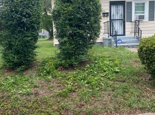 Bush Trimming by Jeff Miller for Rose W. in Richmond, VA