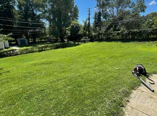 Alison B.'s Lawn Service service result