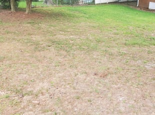 Cleanups by Evan July for Lindsay C. in Richmond, VA