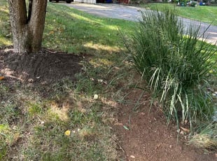 Weeding by Angel P. for Sam S. in Springfield, VA