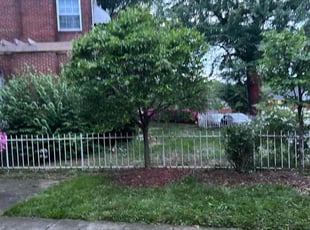 Bush Trimming by Rashard Washington for Judieth W. in Washington, DC