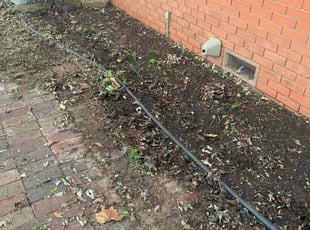 Leaf Removal by Derek Chambers for Nancy C. in Norman, OK