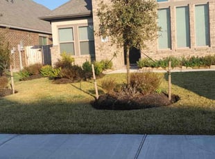 Rebecca S.'s Lawn Mowing service result