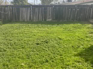 Cleanups by Diego Mojica for George C. in Citrus Heights, CA