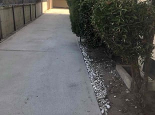 Monique A.'s Bush Trimming service result