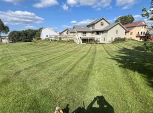 Rob D.'s Lawn Mowing service result