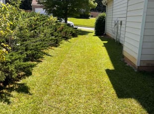 Kay A.'s Lawn Mowing service result