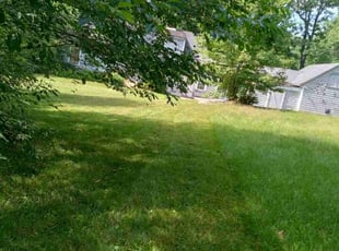 Kristen M.'s Lawn Mowing service result