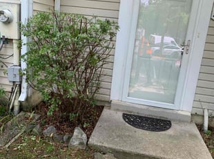 Bush Trimming by Tyler Isaacs for V A. in Bowie, MD