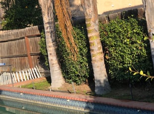 Weeding by Johnie Parker for Lynette G. in Fresno, CA